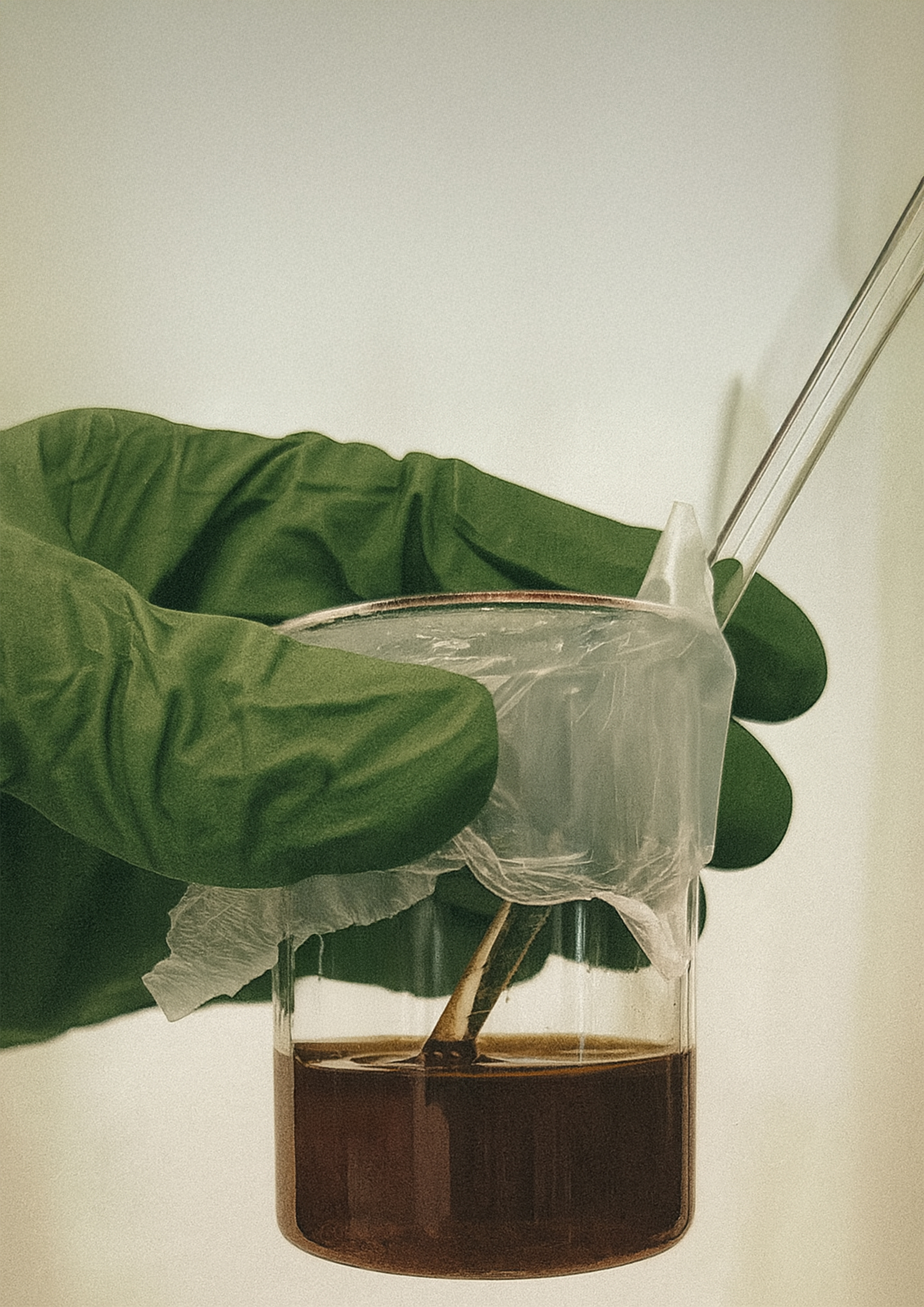 Natural binder derived from bark tannins